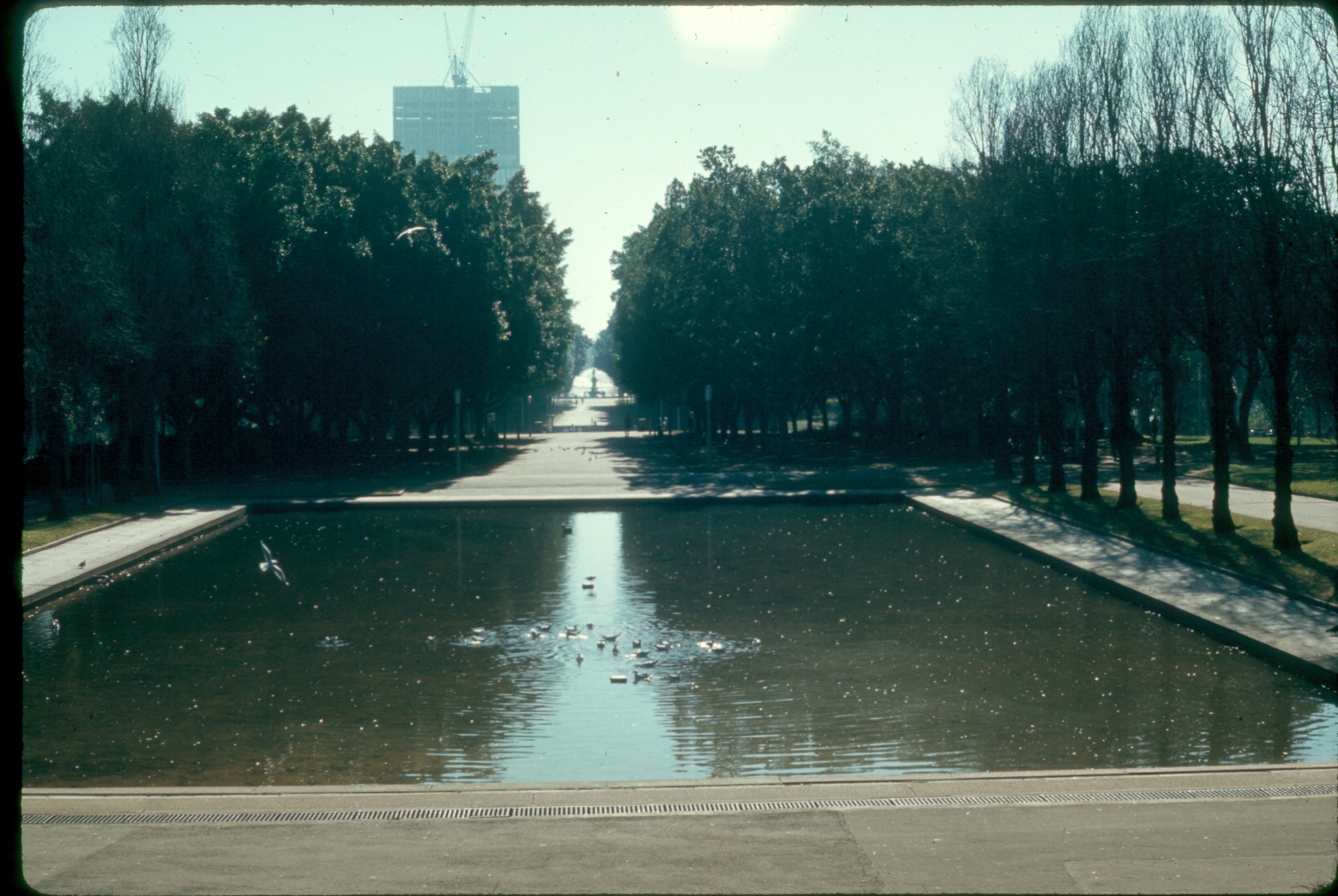 ss 046 1970 06 15 sydney park pond