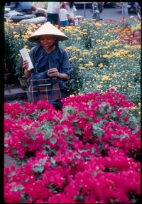 ss 015 1970 02 01 tet flowers