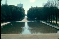 ss 046 1970 06 15 sydney park pond