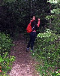 summer on danville trail