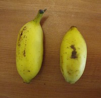 sweet bananas
