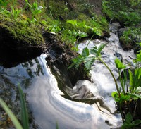 tiny stream near Cayuse and Chinook Passes