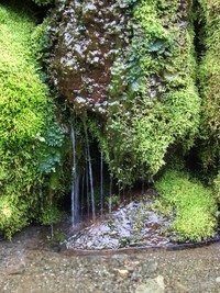 tiny waterfall