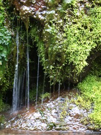 tiny waterfall