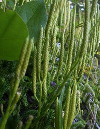 up some hill south of i90