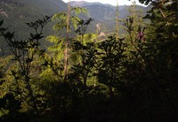 up some hill south of i90