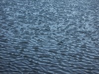 water ripples