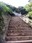 Adams Peak trail