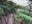 Adams Peak trail