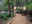 Adams Peak trail