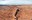 Anticline Overlook