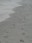 Bay Ocean sand