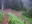 Bear Gap