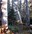 Bearhead Mt and Carbon Trail junction