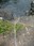 Cape Flattery climbing rope