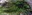 Cape Flattery flora