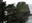 Cape Flattery through the trees