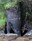 Cape Flattery unbrushed tooth