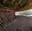 Cave Spring Trail