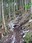 Change Creek Trail