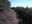 Cone Peak lookout trail