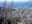 Cone Peak lookout trail