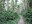 Cougar Mountain trail