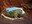 Double O Arch bottom
