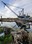 Duwamish Crane