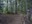 Echo Lake and Maggie Creek trail junction