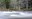 Greenwater River trees video