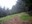 Humbug Mountain trail
