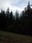 Humbug Mountain trail