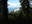 Humbug Mountain trail