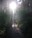 Imani in the forest