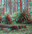 Ipsut Creek Road stereo