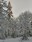 Maple Valley back yard snow