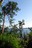 Marine View Park