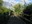 Mercer Slough bike trail
