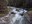 Middle Fork Snoqualmie at Dingfort Creek