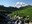 Mt Rainier from above Paradise