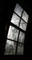 Muriel window