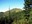 Noble Knob