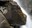 Nooksack River sphinx