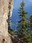 Palisades Trail
