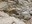 Pine Valley Peak wall