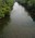 Potomac River slough