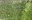 Ravensdale Lake pattern