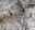 Ravensdale mud hill