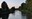 Snoqualmie River and dog